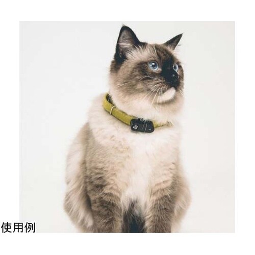 M01BL TICKLESSMINI 黒