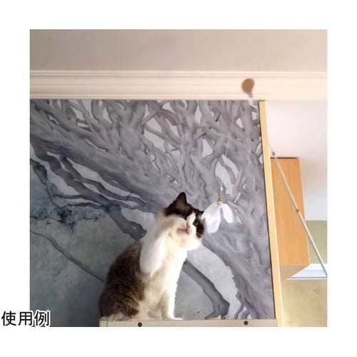 AW−C−020 ねこじゃらしDX 黄白