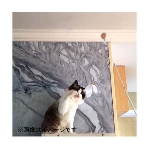 AW−C−020 ねこじゃらしDX 青黒