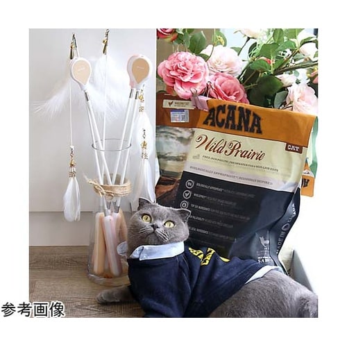 AW−C−020 ねこじゃらしDX 黄黒