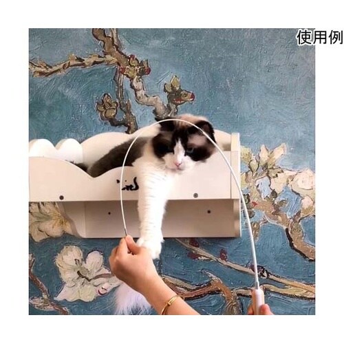 AW−C−010 ねこじゃらし 黄白