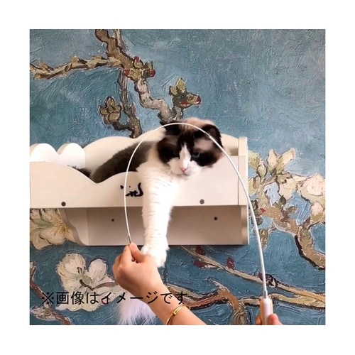 AW−C−010 ねこじゃらし 青黒