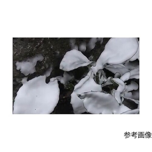 1.5L ハンドスプレー(泡タイプ) E