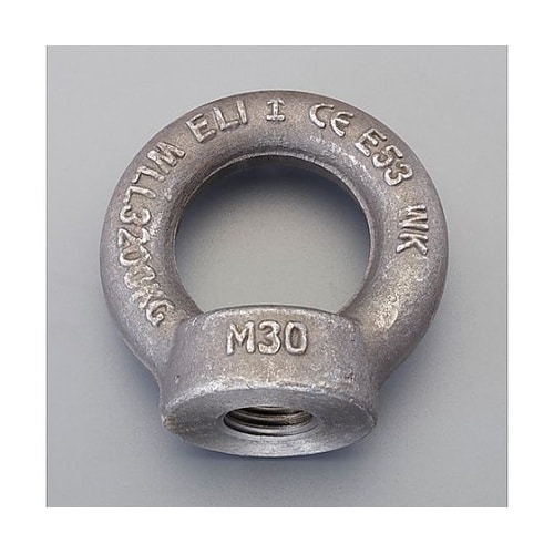 M 22 アイナット(炭素鋼製) EA6