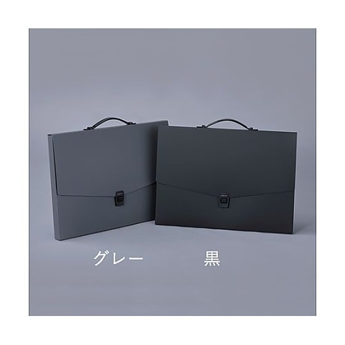 B3/420x570mm デザインケース