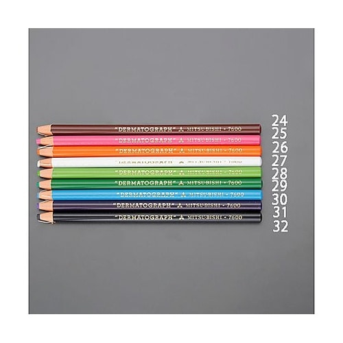 油性色鉛筆(12本/黄緑) EA765M