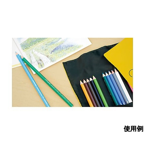 36色 色鉛筆セット(ロールケース入)