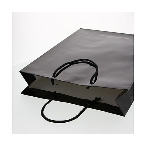 330x100x450mm 紙袋(フィル