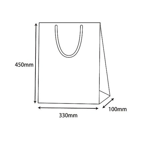 330x100x450mm 紙袋(フィル