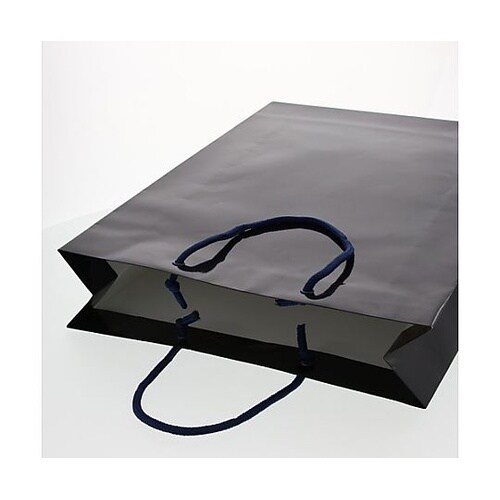 330x100x450mm 紙袋(フィル