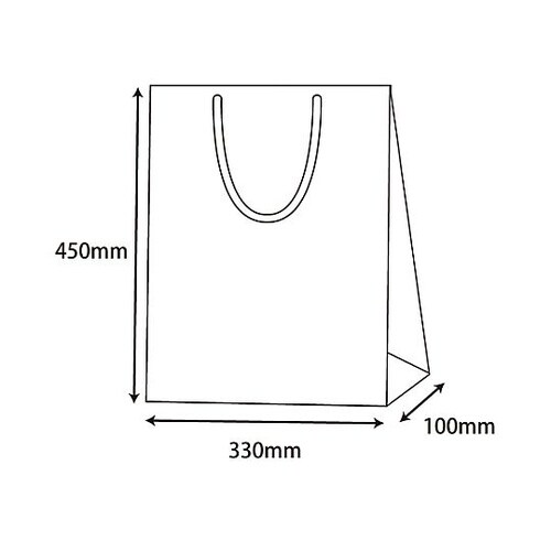 330x100x450mm 紙袋(フィル