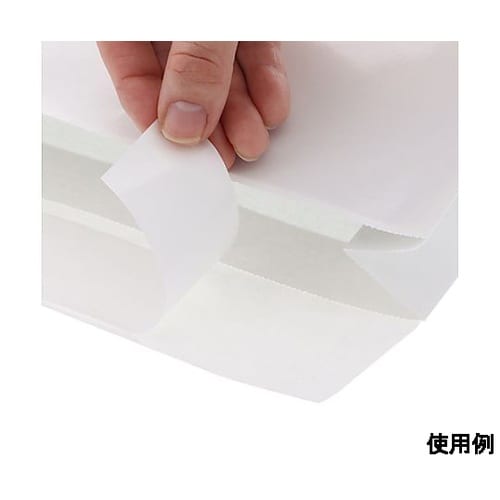260x 80x320mm 宅配袋(フィ