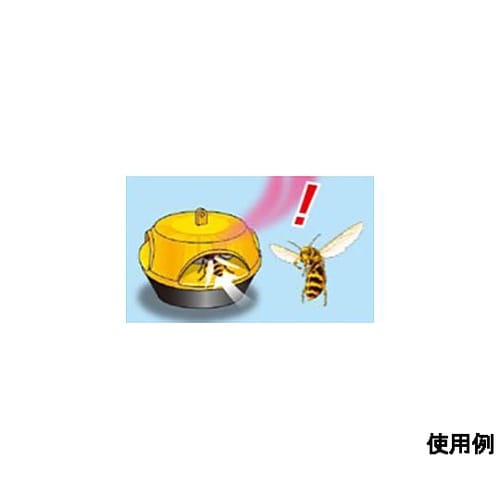 スズメバチ駆除剤(ハチの巣コロリ/2個)