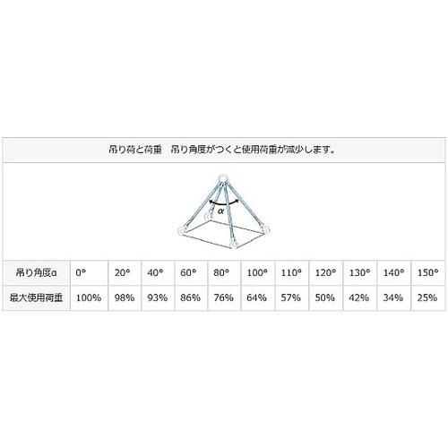 1.0 tonx1.0m 両端金具付スリ