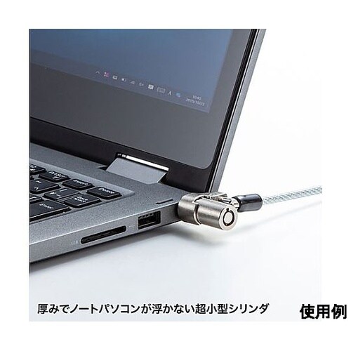 φ4.4mmx2.0m セキュリティワイ