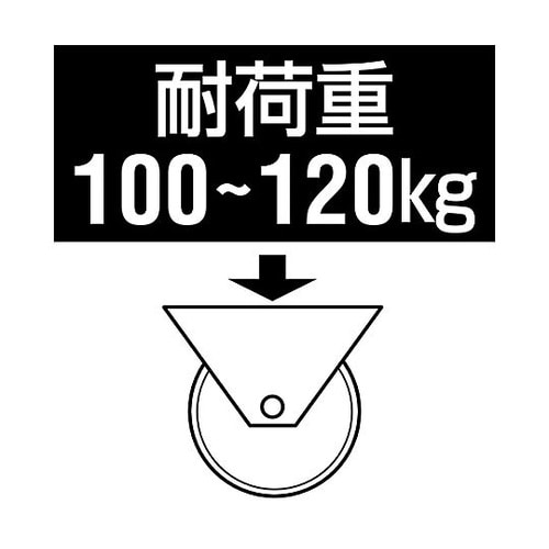100mm キャスター(ツインホイール/