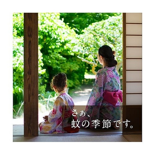 どこでもつかえるアースノーマット 90日