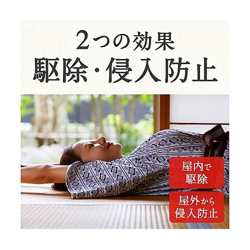 どこでもつかえるアースノーマット 90日