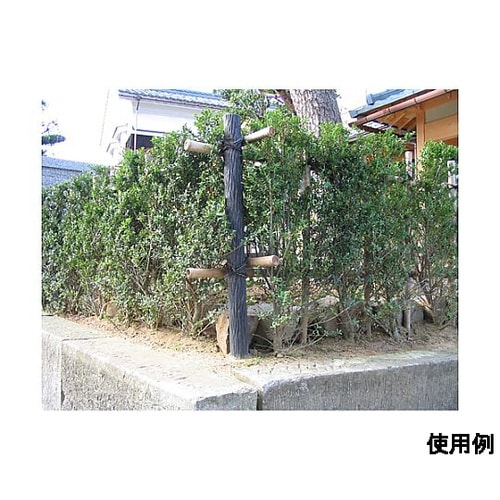 φ 55x 900mm 擬木杭(穴あり/