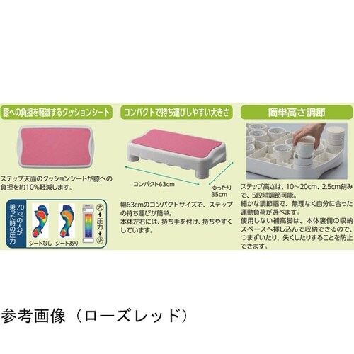 エクササイズステップ DVD付き ローズ