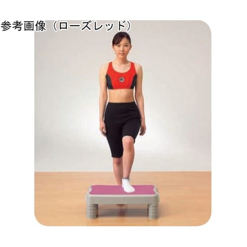 エクササイズステップ DVD付き ライム