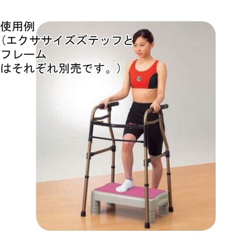 エクササイズステップ DVD付き ライム