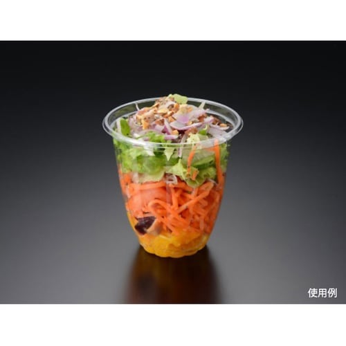 麺・スープ容器 PS 14OZサラダ 本