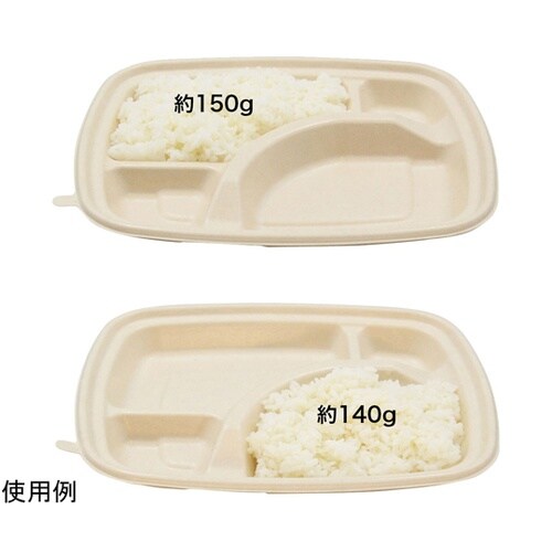 BB竹バガス 弁当容器 N24−20A