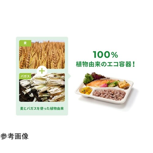 WB麦バガス 弁当容器 24−20A ラ
