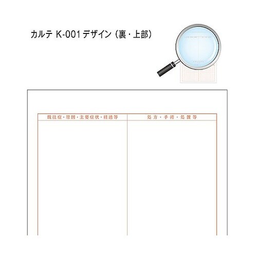 カルテ1号 A4 90kg 社保 k−0