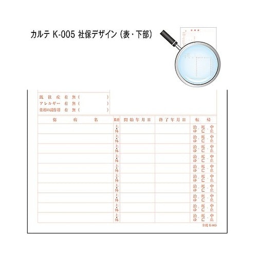 カルテ1号 A4 90kg 社保 k−0