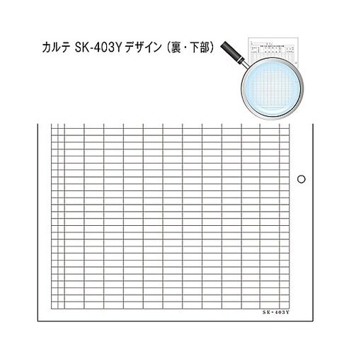 カルテ3号 A4 SK−403Y 穴あき
