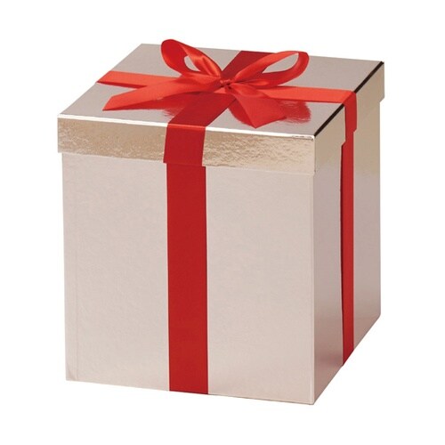 プレゼントボックス【クリスマスツリー装飾