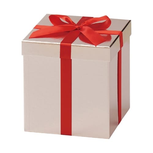 プレゼントボックス【クリスマスツリー装飾