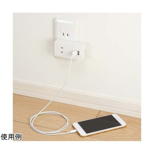 両挿しUSBフロントタップ2個口 ホワイ