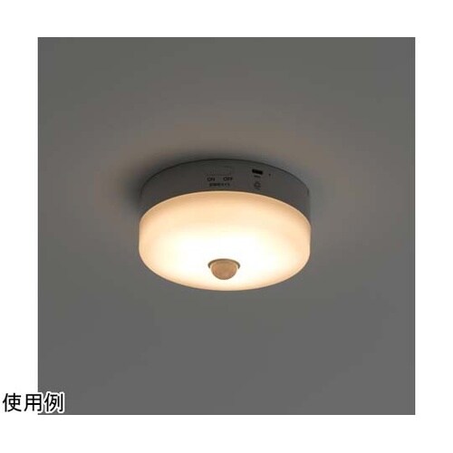 ミニシーリング60W型バッテリー内蔵電球