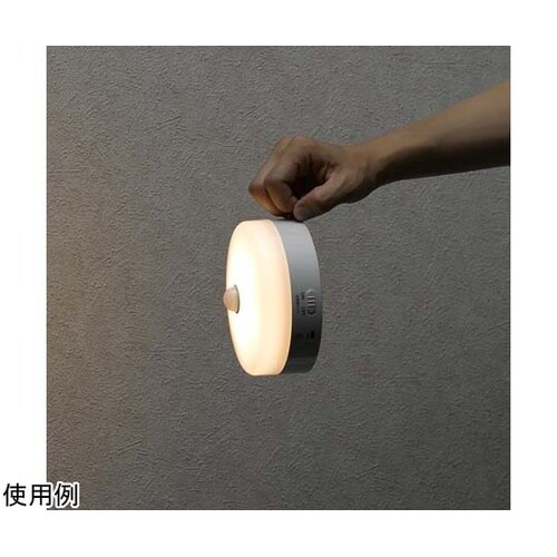 ミニシーリング60W型バッテリー内蔵電球