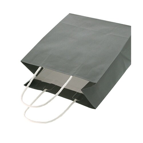 手提げ紙袋 スムースバッグ 22−12