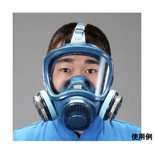 直結型防毒マスク(防塵併用/2缶式) E