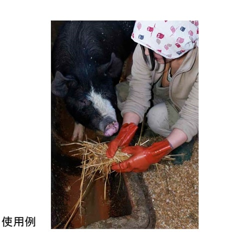 簡易包装ニュービニローブ 10双入 L