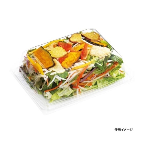 惣菜容器 C−APGベジマグ 20−15