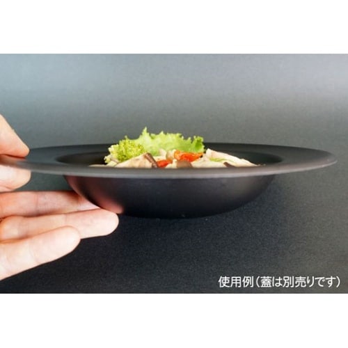 惣菜容器 SD StyLe SD DP2