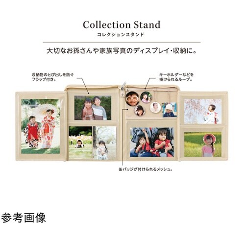 myfa コレクションスタンド チャコー