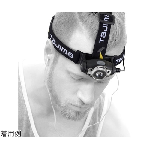 LEDヘッドライトF351D シルバー