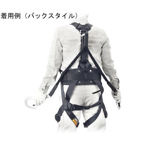 セグネス 501 M SEGNES501