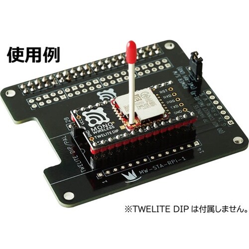 TWELITE STAGE HAT MW