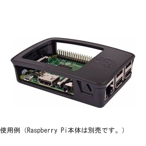 Piケース Official for P