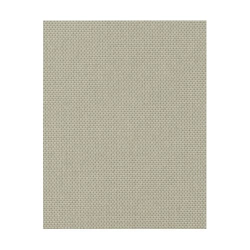 オックスフォード半袖シャツ FB4511