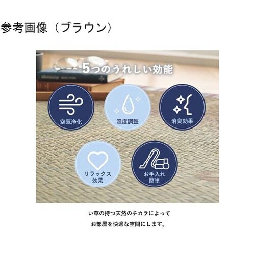 い草ラグ カーペット夏用 ブラウン 約1