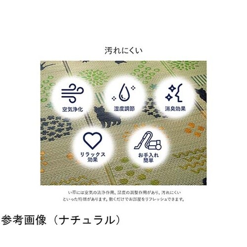 い草ラグ 猫・花柄 ブラック 約180×